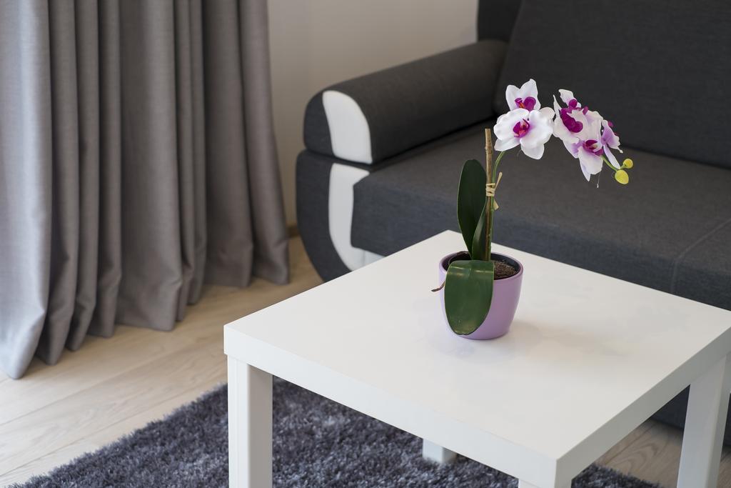 Apartamenty Comfort & Spa Stara Polana Vipapartamenty Zakopane Eksteriør billede